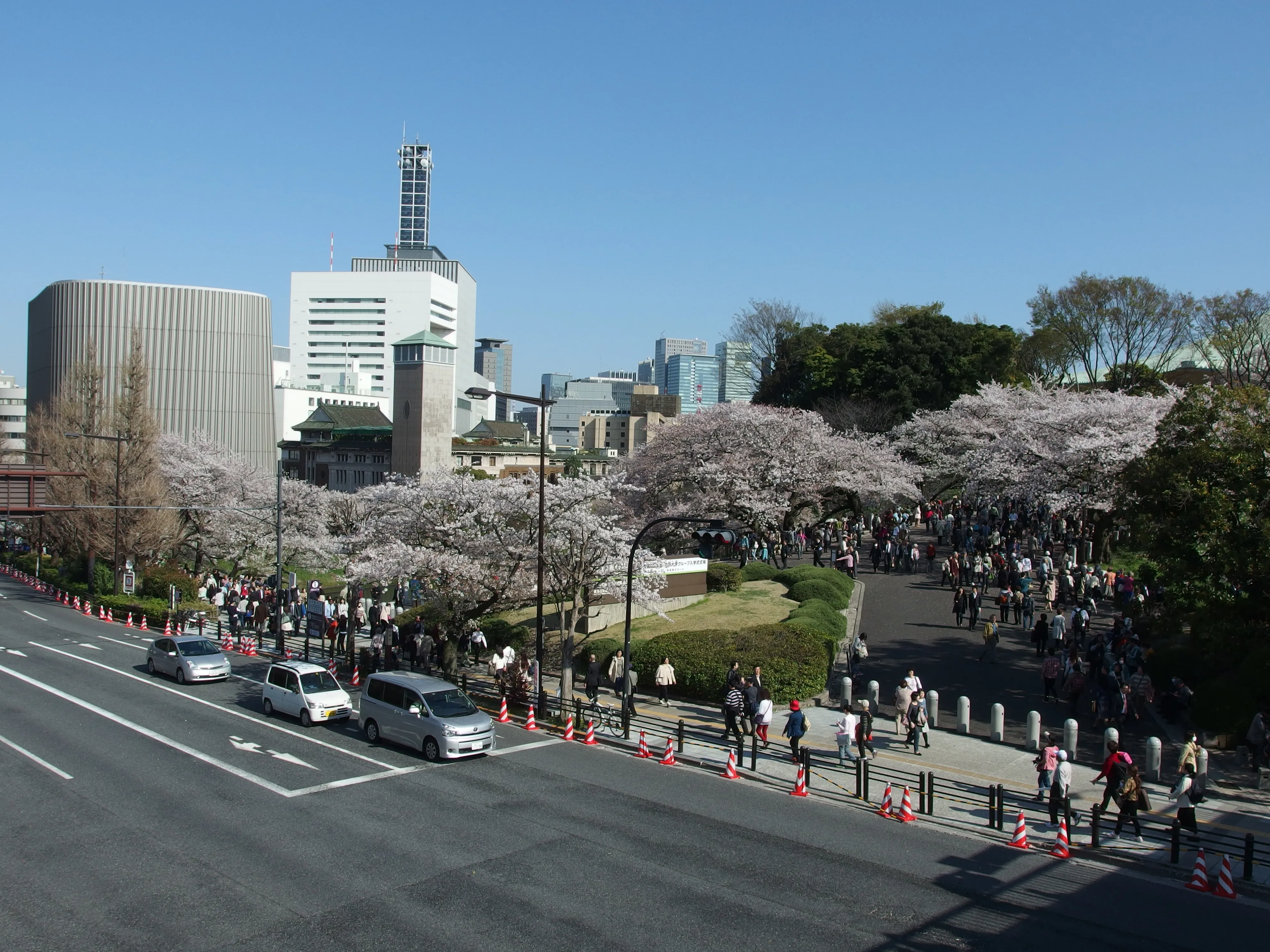 Rowboats among cherry blossoms on the Chidorigafuchi moat beside the Imperial Palace in Tokyo