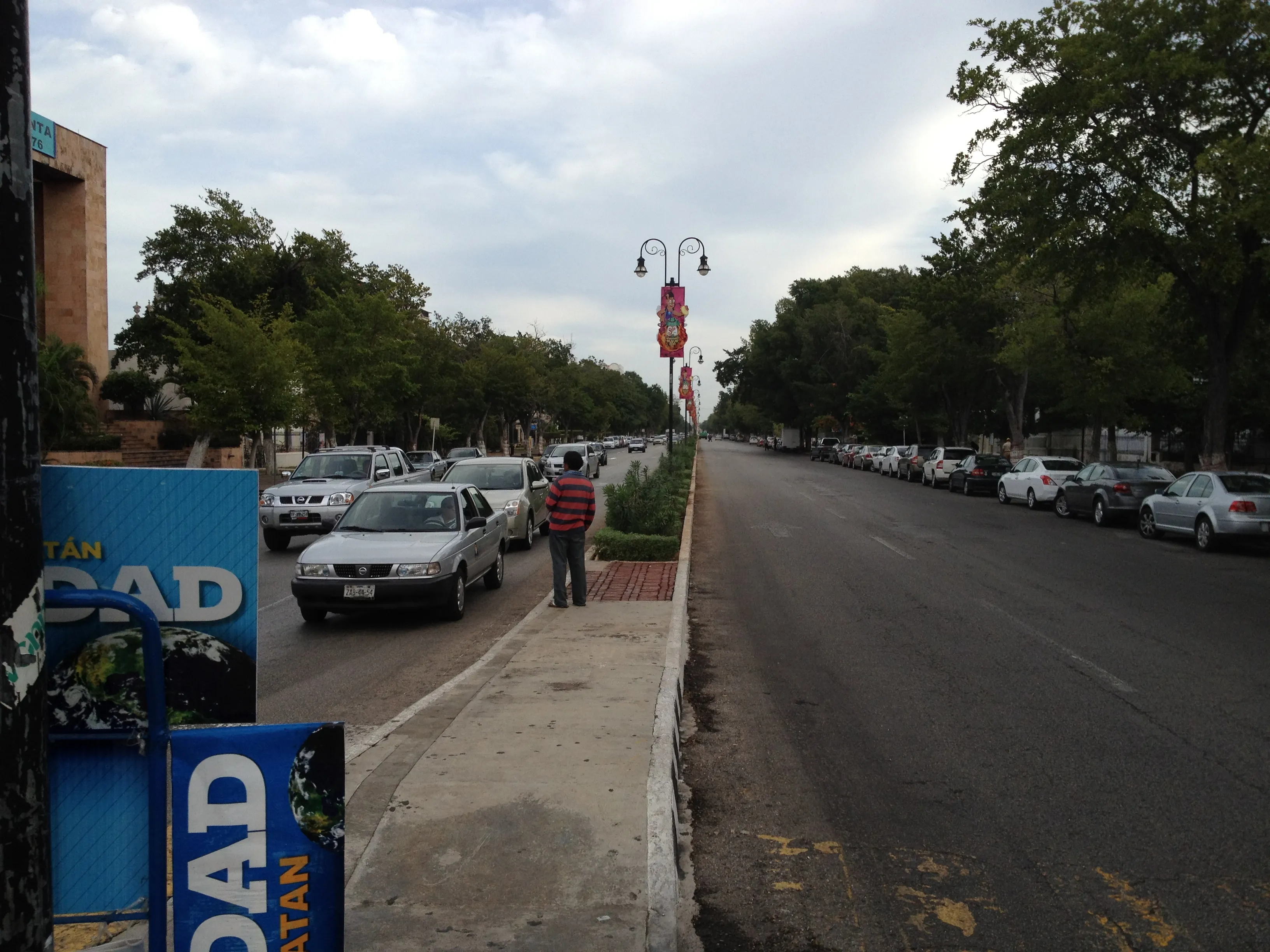 The wide tree-lined Paseo de Montejo boulevard in central Mérida, Yucatán, with traffic and colonial-era buildings