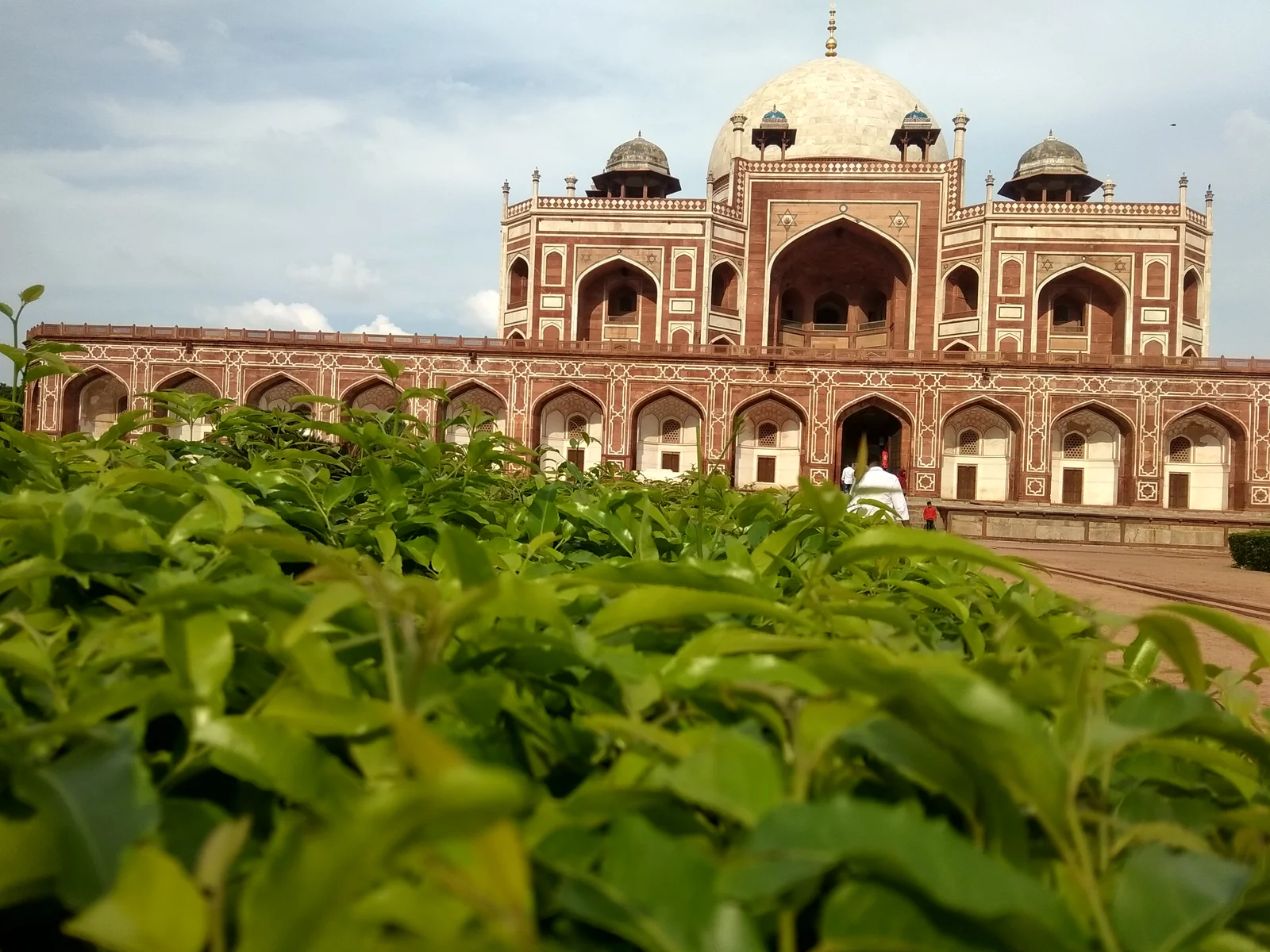 The central arch and marble dome of Humayun's Tomb rising above a leafy green hedge in the foreground