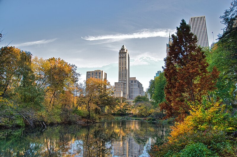 Central Park and Midtown Manhattan skyline