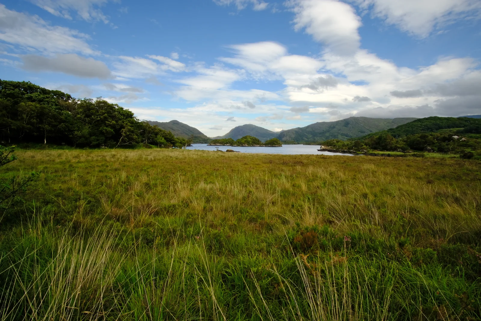 Lakes, woodland and mountains stretching across Killarney National Park in County Kerry