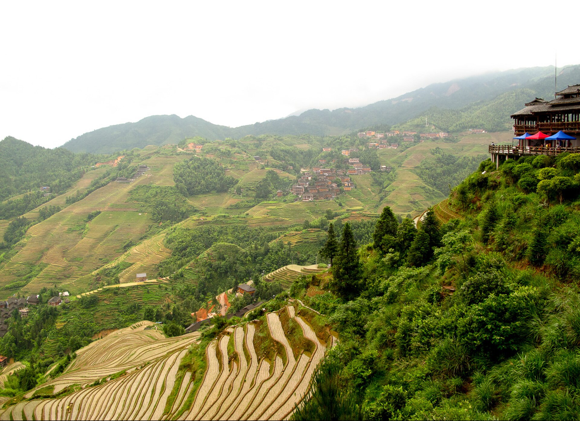 Layered rice terraces carved into hillsides at Longji near Guilin