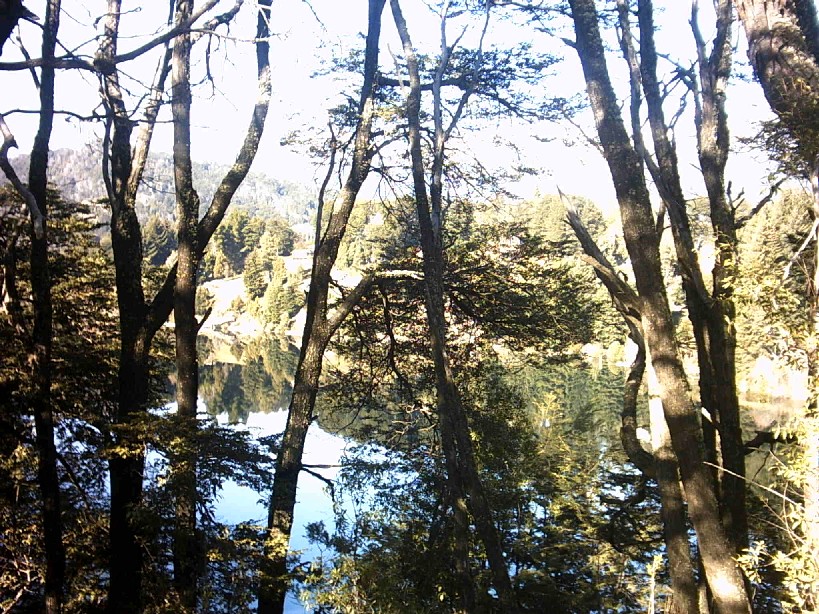 Nahuel Huapi Lake surrounded by Andean forests and mountains near Bariloche, Patagonia