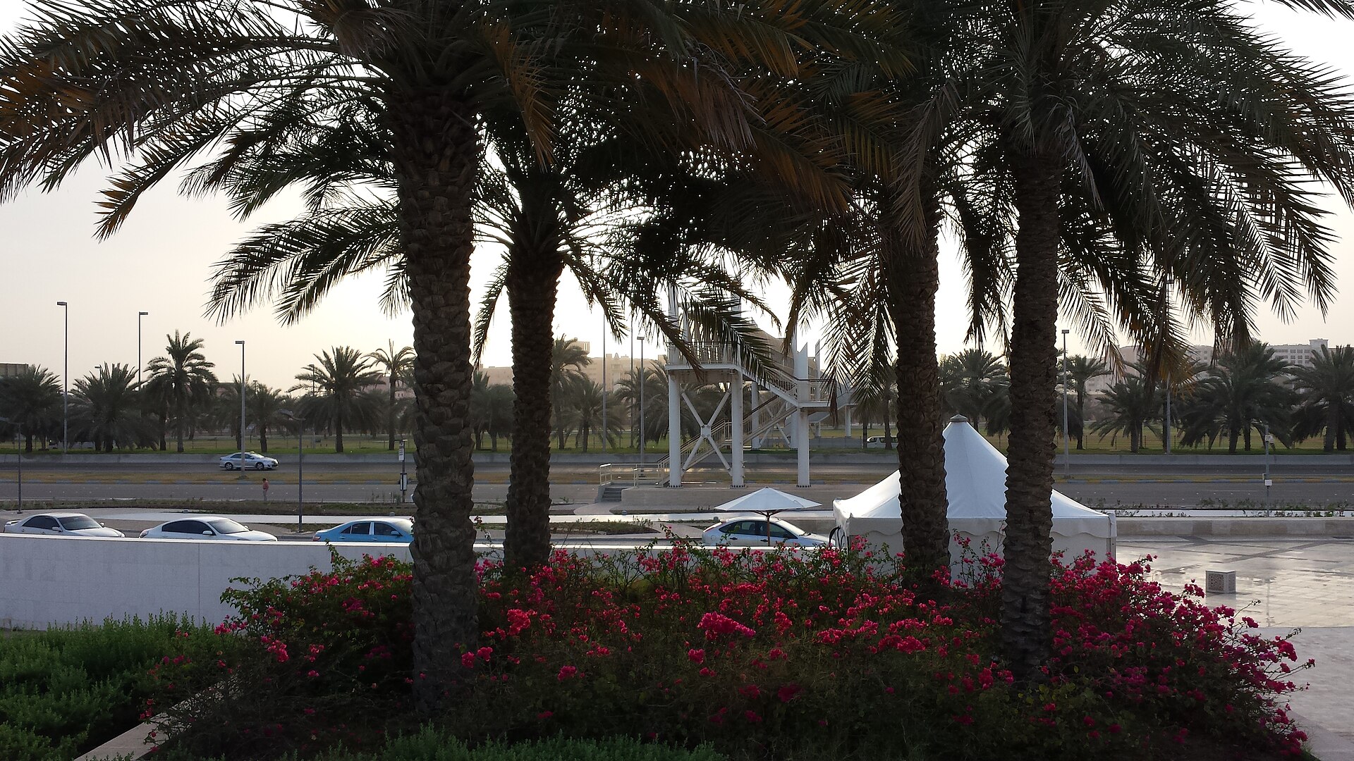 Sheikh Zayed Grand Mosque in Abu Dhabi with white marble domes and reflecting pool