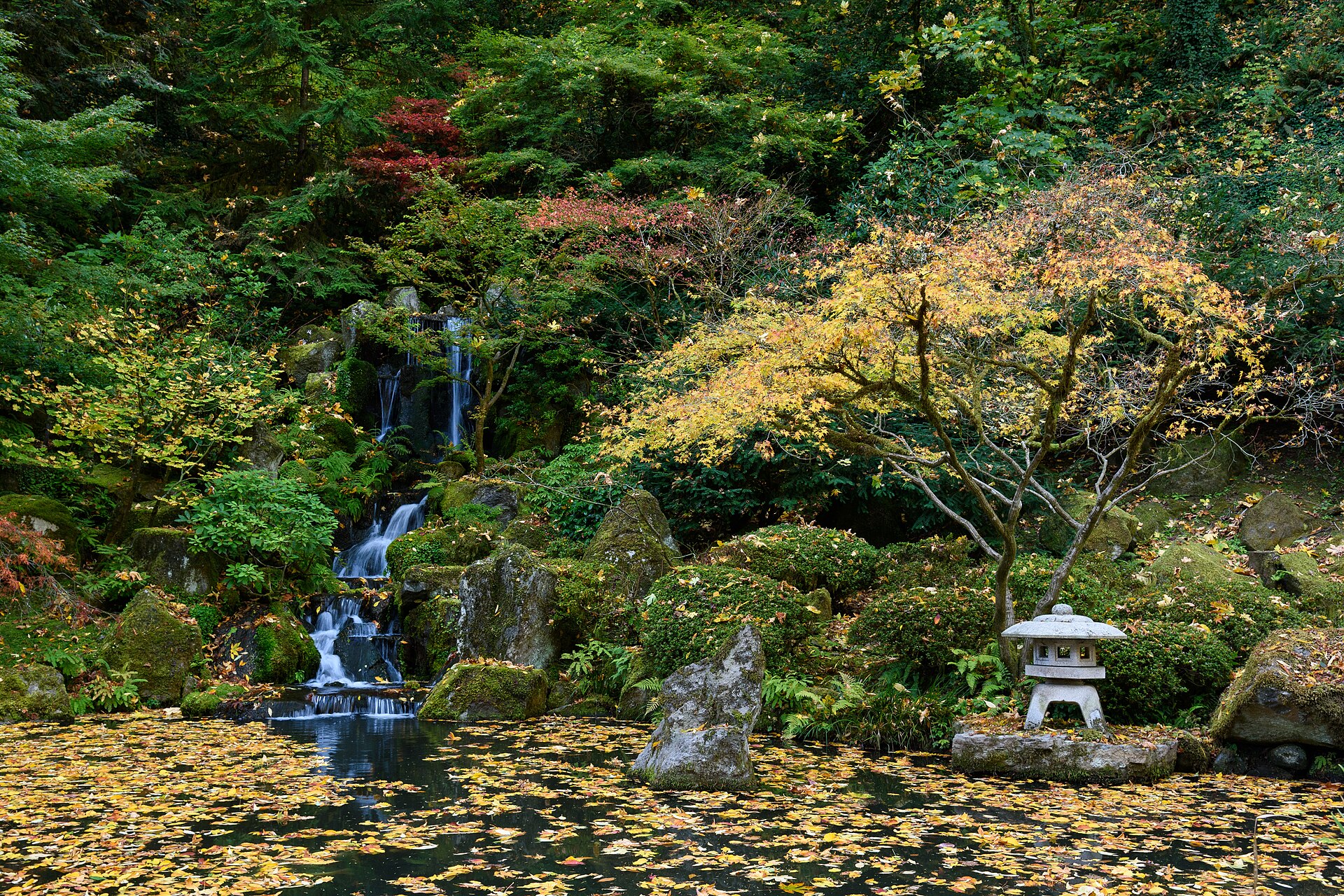 Heavenly Falls surrounded by autumn foliage at the Portland Japanese Garden
