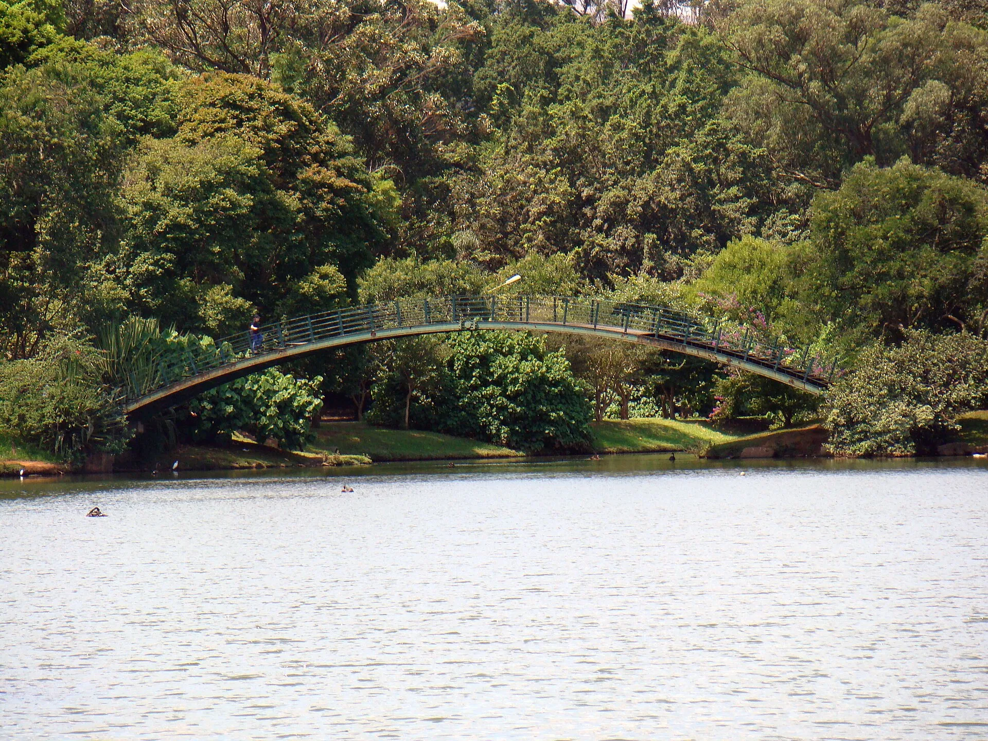 Aerial view of Ibirapuera Park in São Paulo