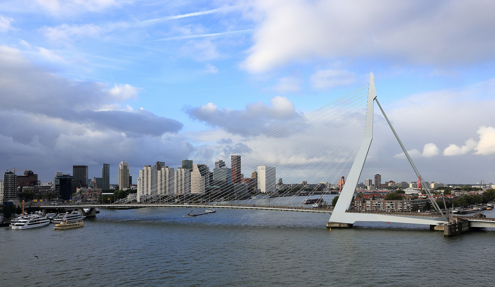The Erasmus Bridge in Rotterdam spanning the Nieuwe Maas river
