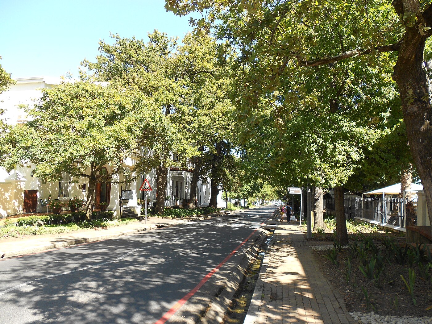 Oak-lined Dorp Street in Stellenbosch, home to the Village Museum