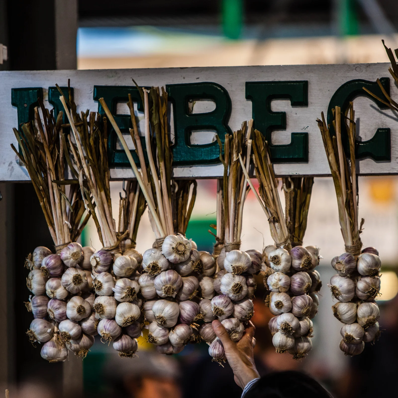 Braided strings of garlic bulbs hanging in front of a green Quebec sign at a market stall