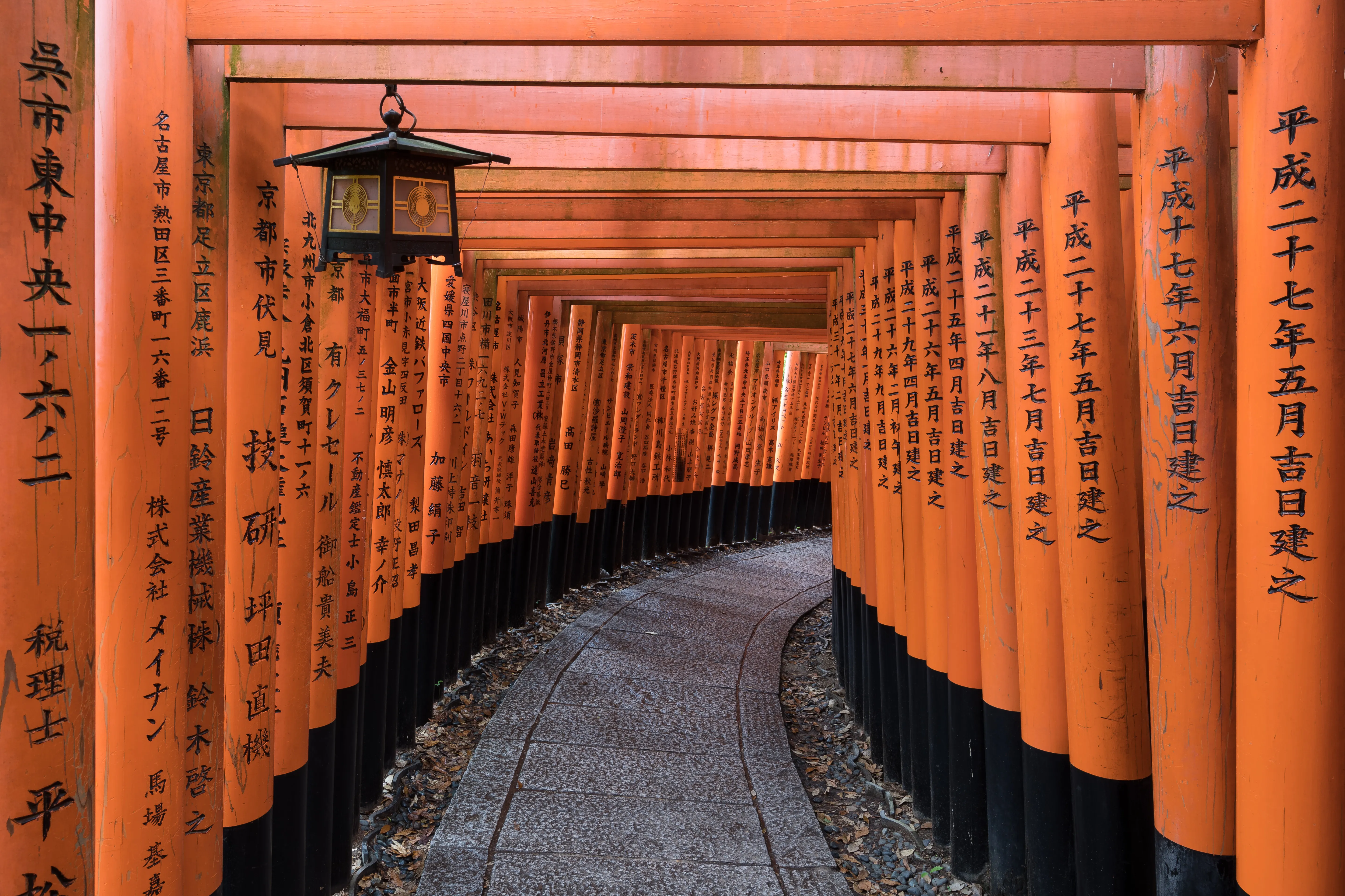 A stone lantern beside a tunnel of vermilion torii gates climbing the hillside at Fushimi Inari Taisha