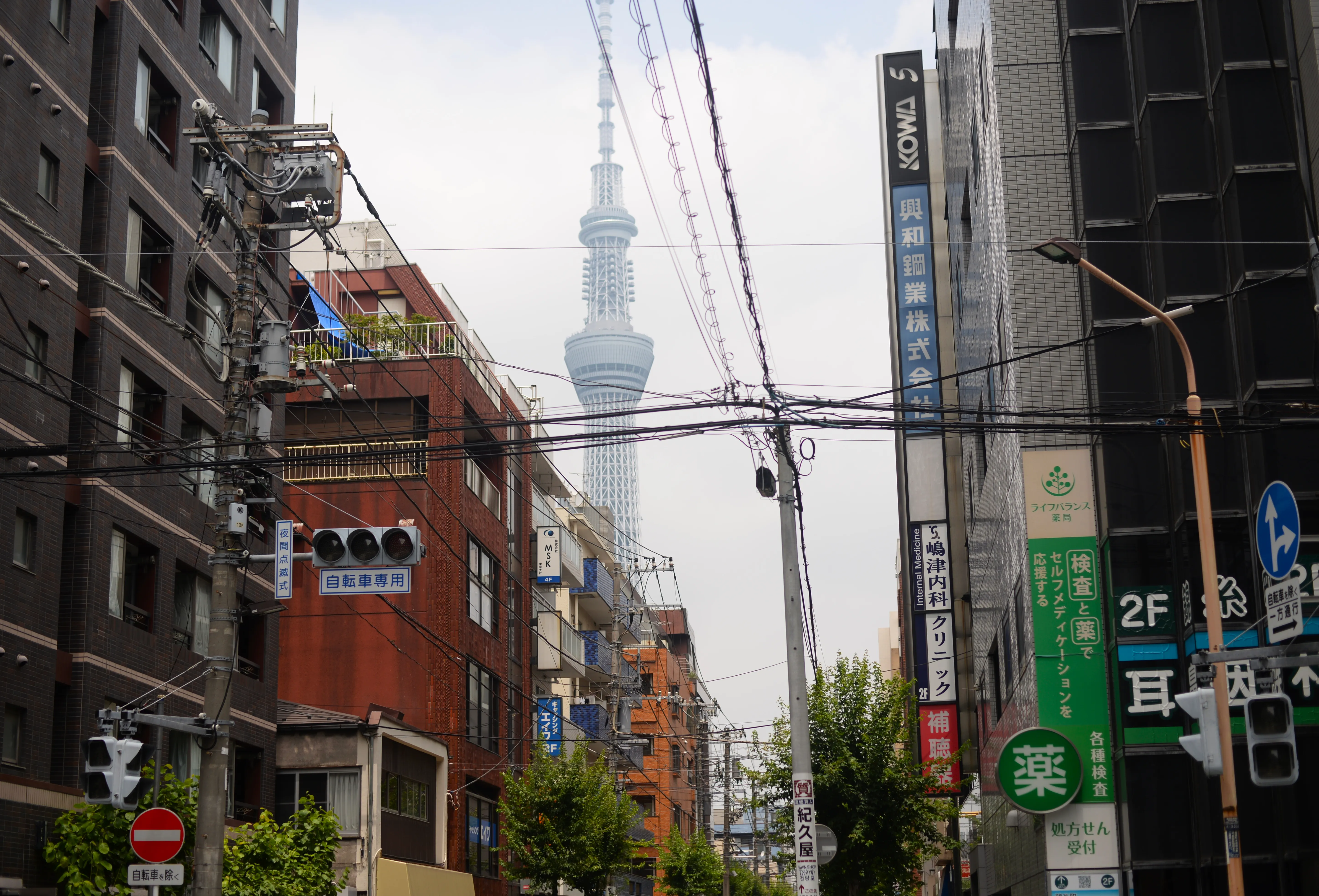 The Tokyo Skytree broadcasting tower rising high above the surrounding buildings of Sumida ward