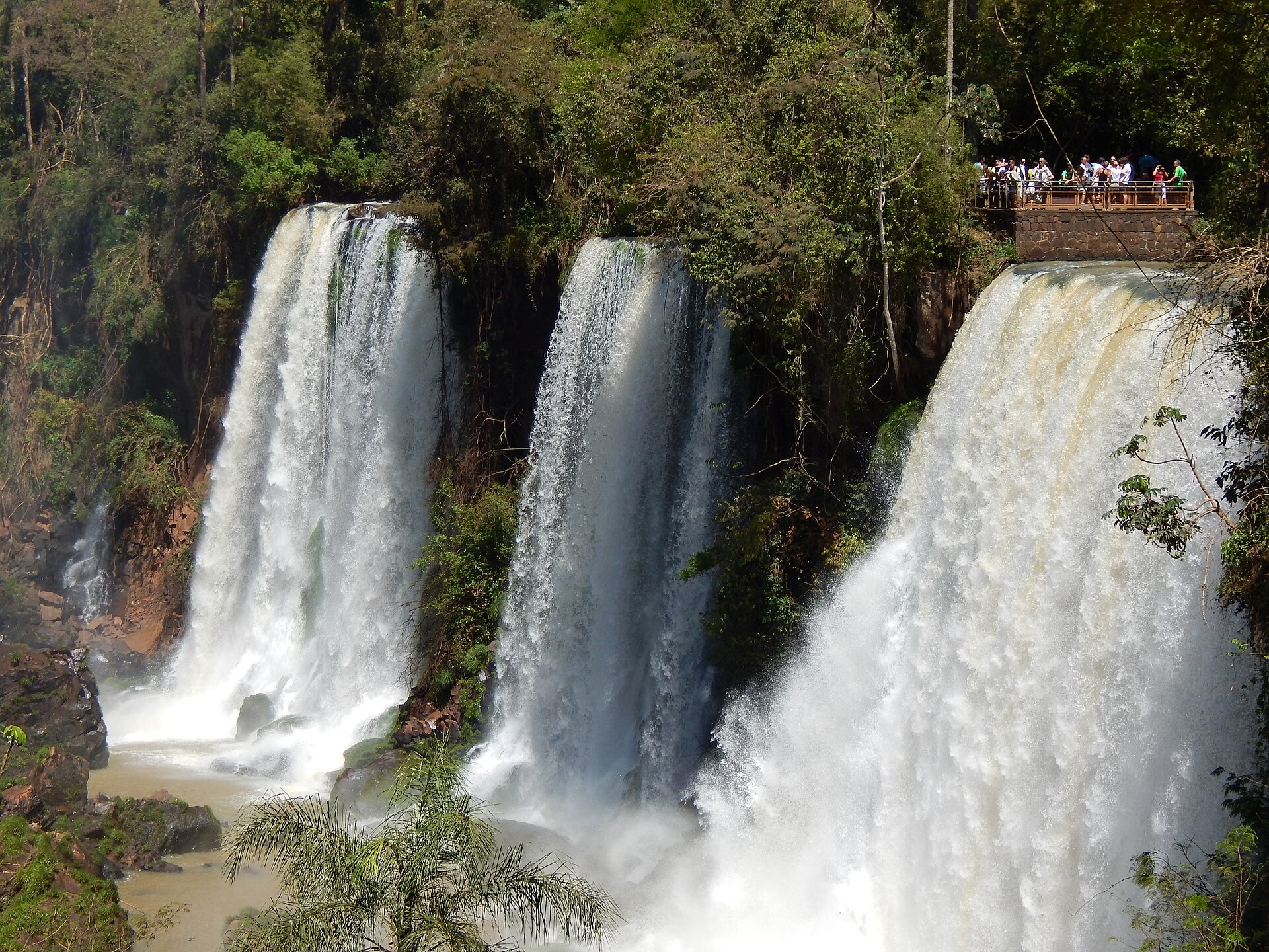 Sweeping view of multiple cascades at Iguazu Falls from the Argentine side with lush green vegetation