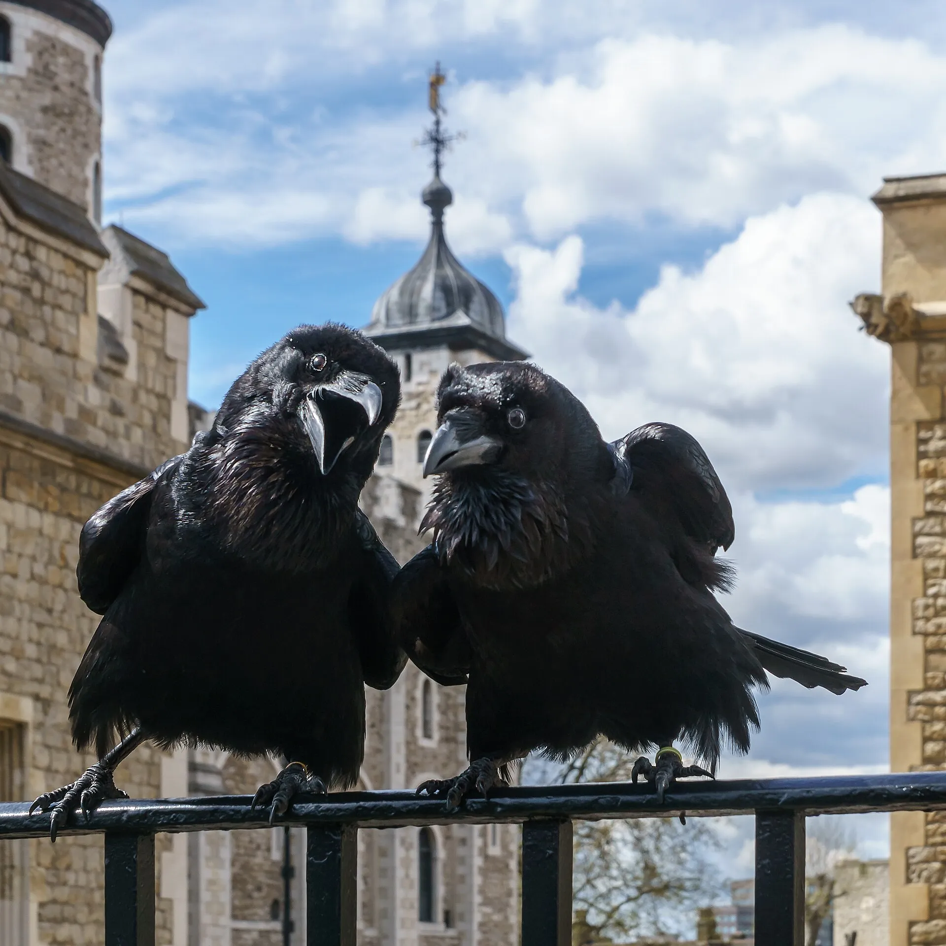 Tower of London in London