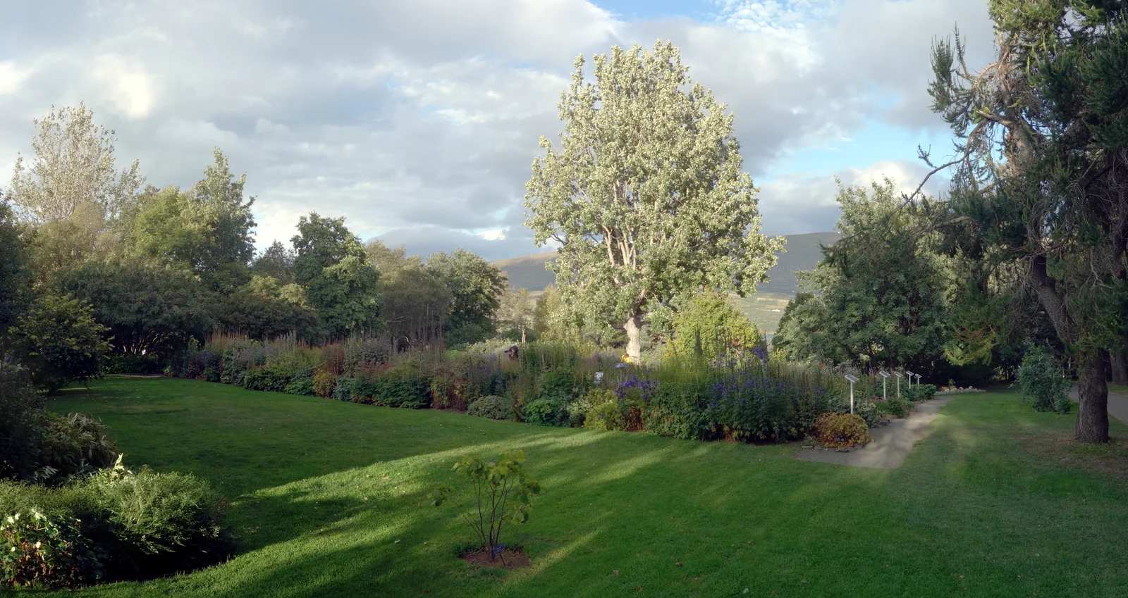 A panorama of the Akureyri Botanical Garden with flowerbeds and trees beneath the northern Iceland sky