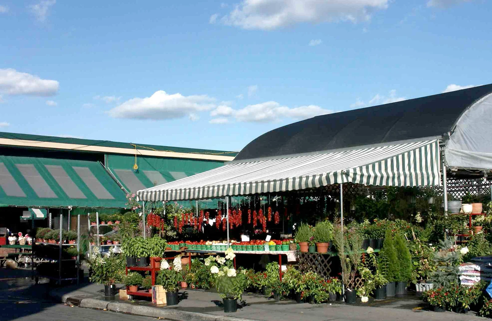 Outdoor stalls at Jean-Talon Market under green-and-white striped awnings, with potted plants and crates of produce