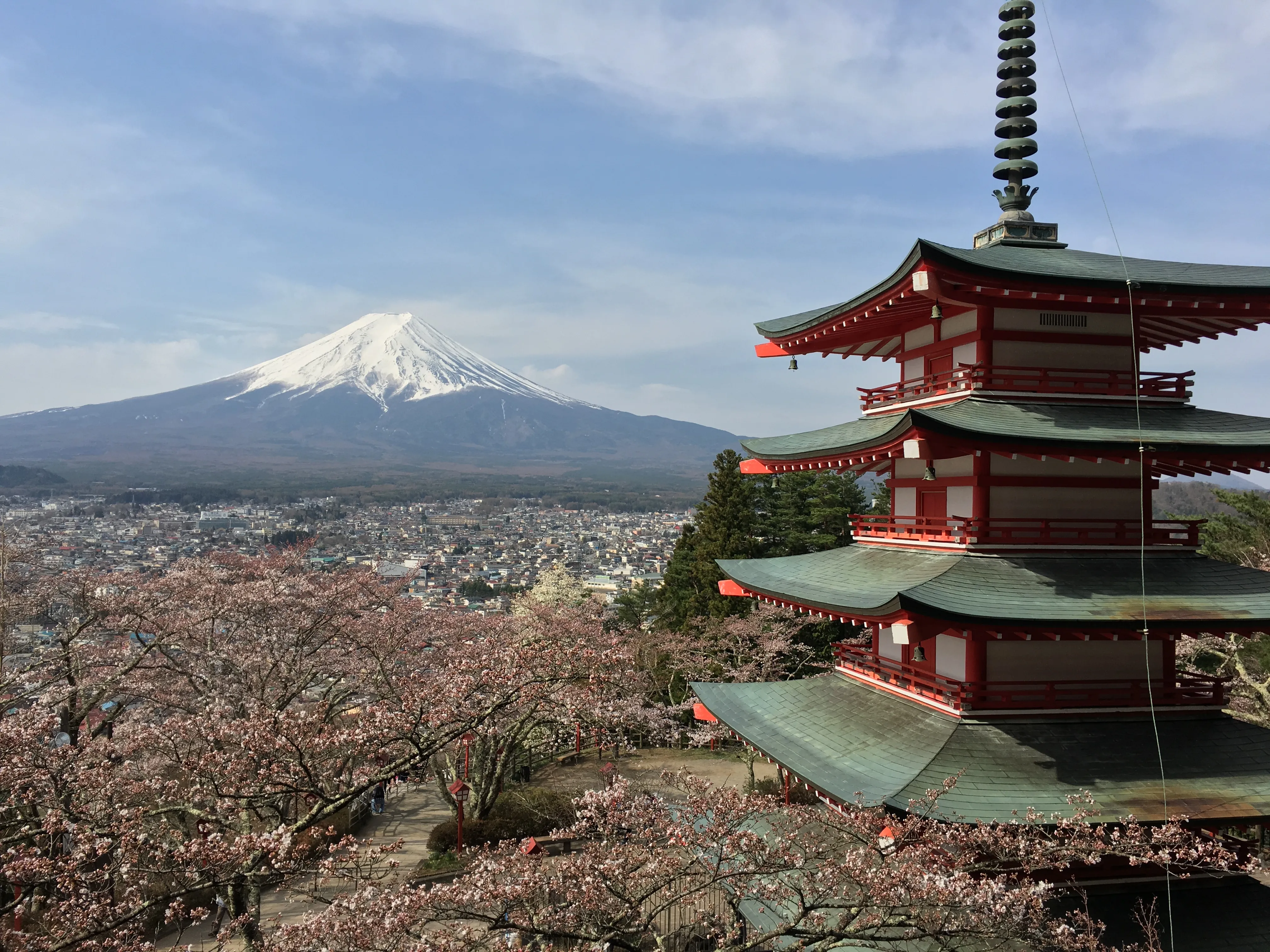 Mount Fuji rising behind the red Chureito Pagoda and cherry blossoms at Fujiyoshida