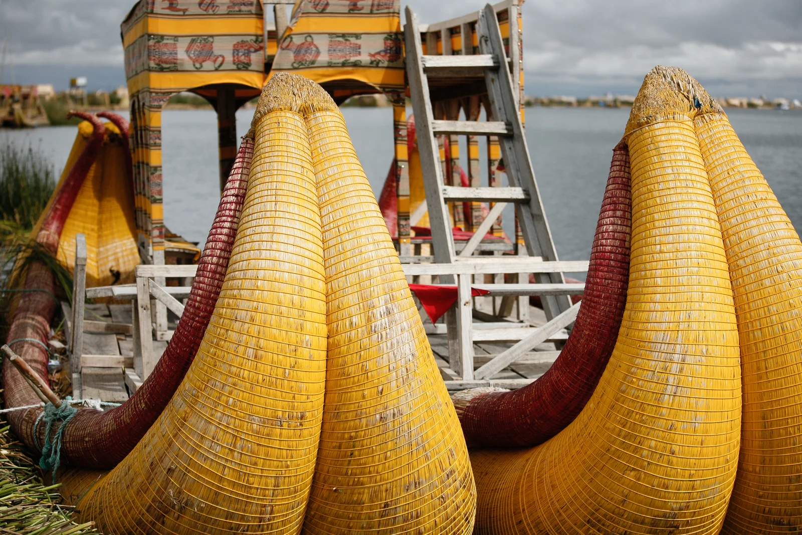 Prows of traditional totora reed boats with curved bundled hulls moored at the edge of a Uros floating island
