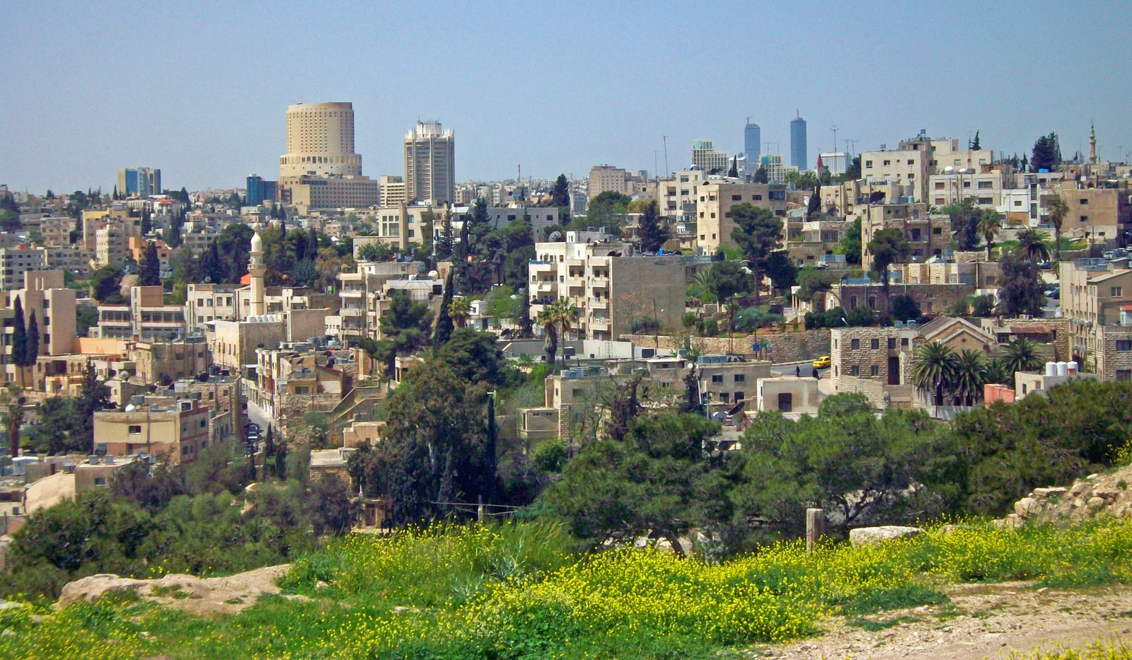Amman's pale limestone buildings spreading across the hills, seen from Citadel Hill, with a few modern towers rising in the distance and wildflowers on the slope below