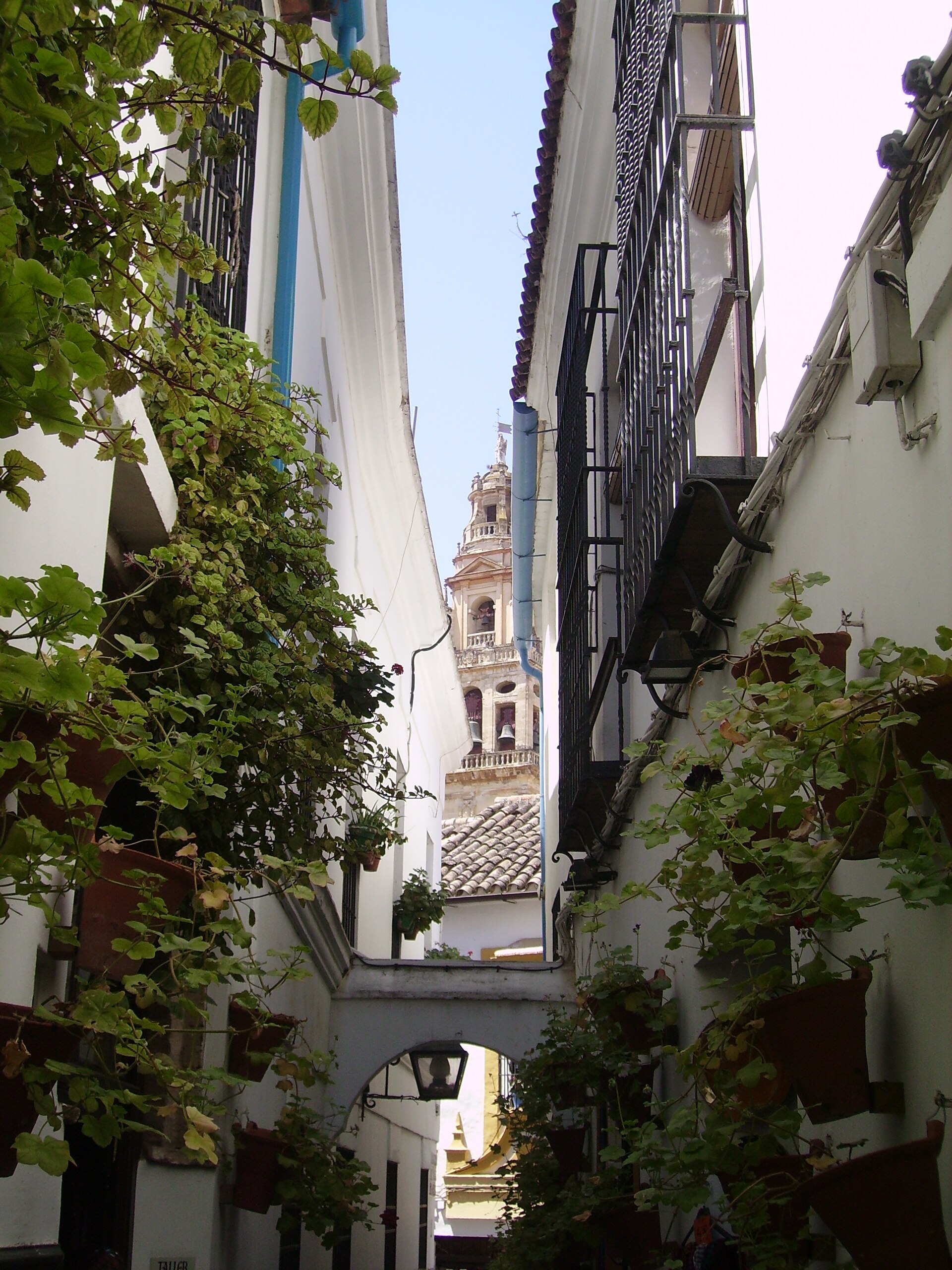 Calleja de las Flores in the Jewish Quarter of Córdoba