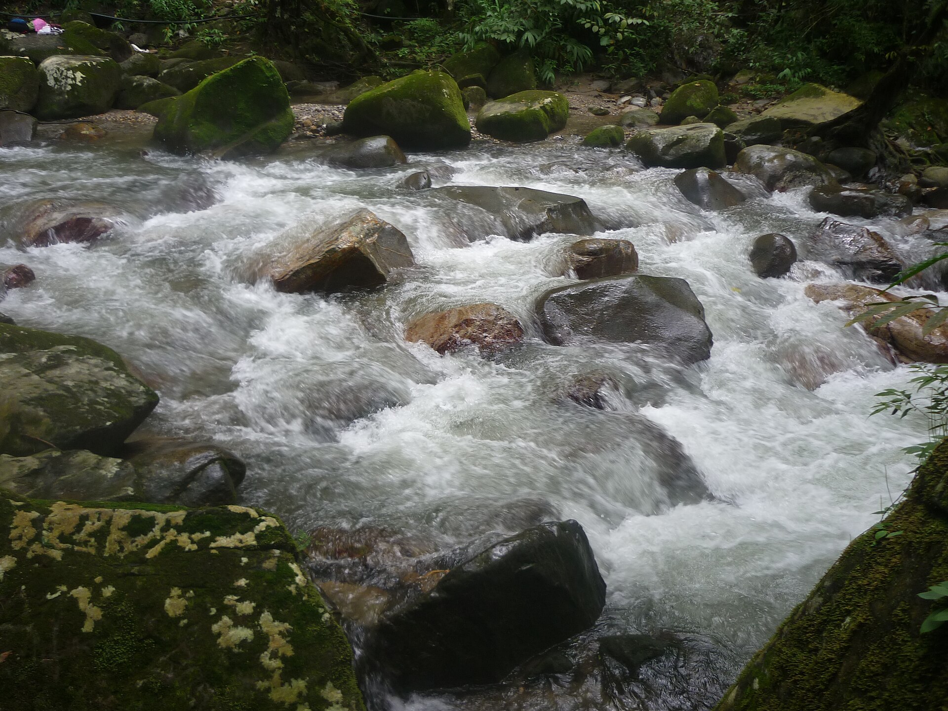 Lush green mountain landscape near the village of Minca, Colombia