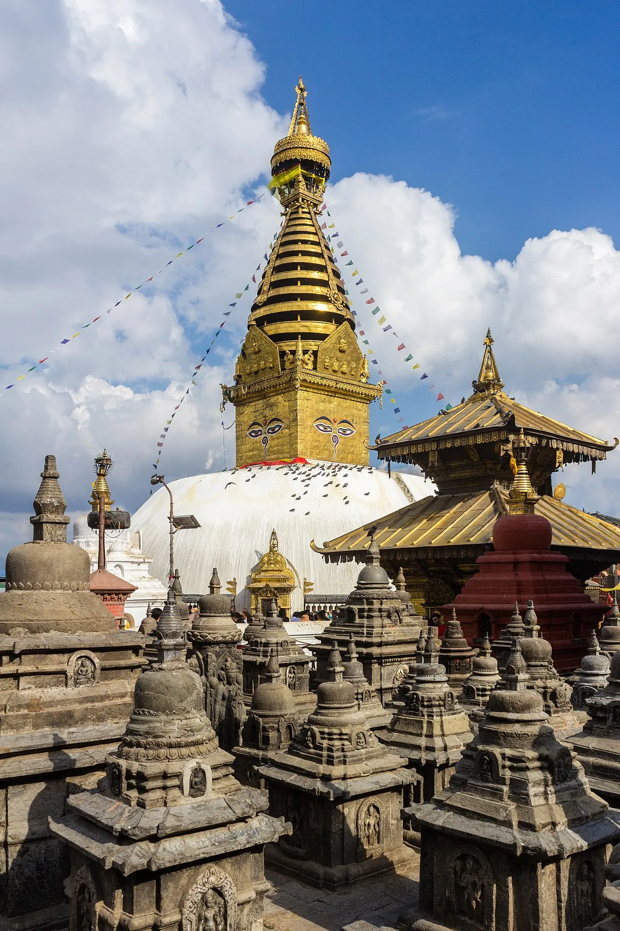 Swayambhunath Stupa golden spire above forested hilltop with Kathmandu Valley below