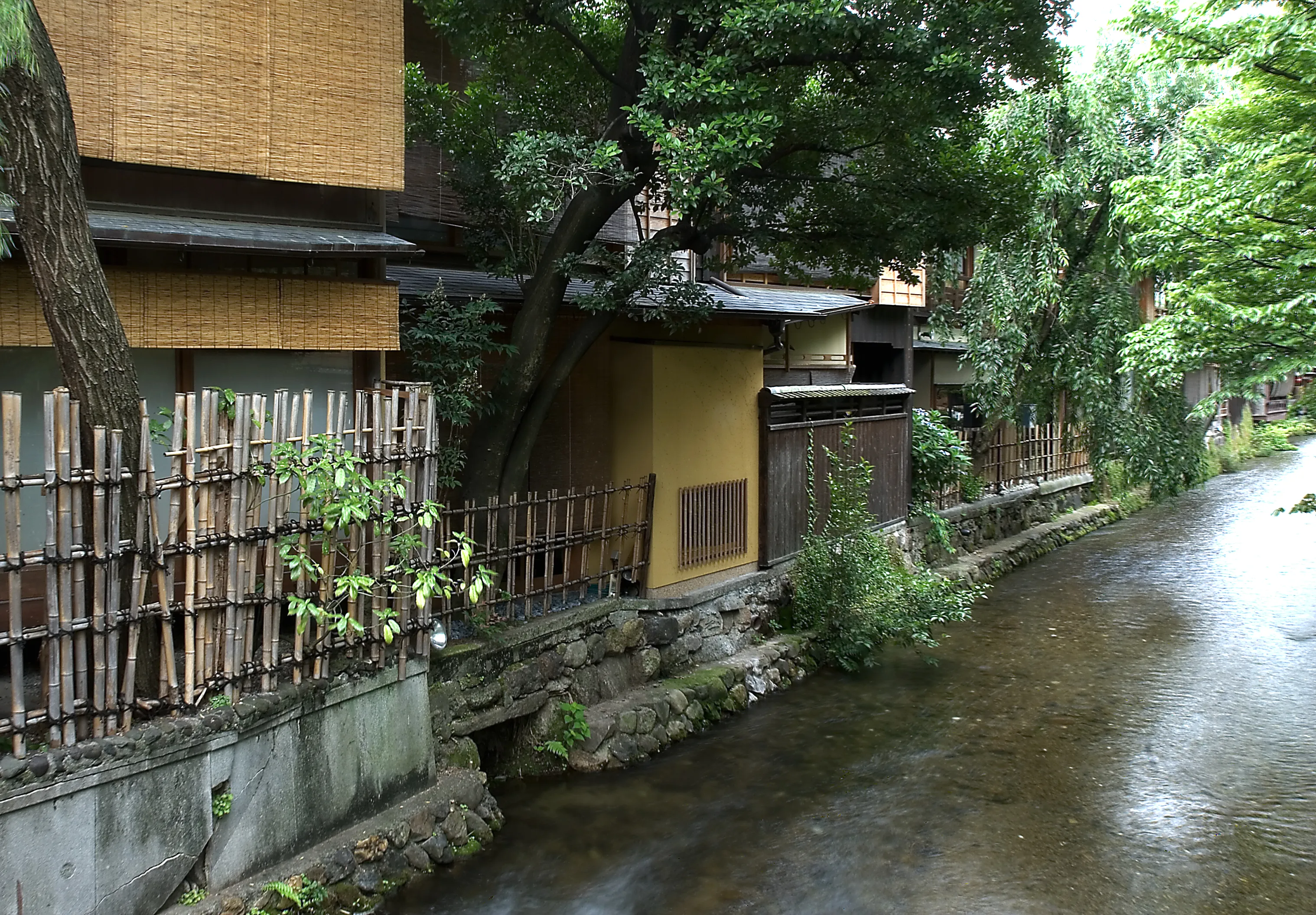 Willow trees and traditional wooden machiya houses lining the Shirakawa canal in Kyoto's Gion district