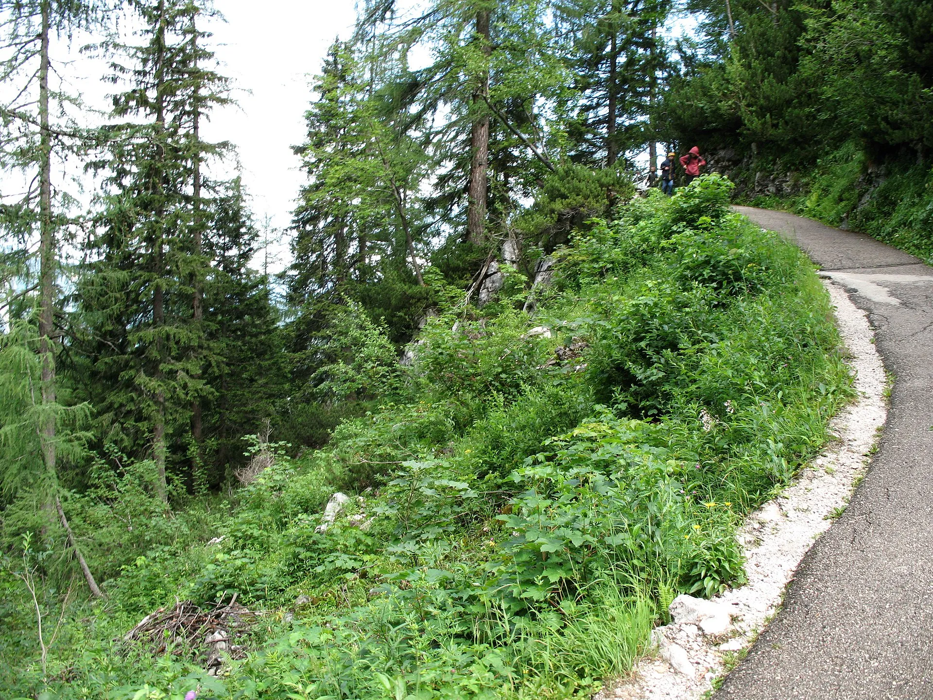 Mountain path leading to the Dachstein ice cave entrance