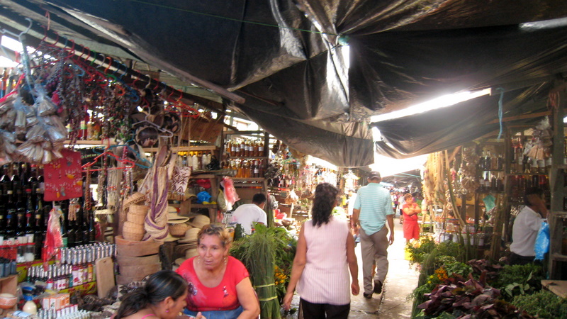 Pasaje Paquito alley in Belen Market, Iquitos, with vendors selling medicinal plants and potions