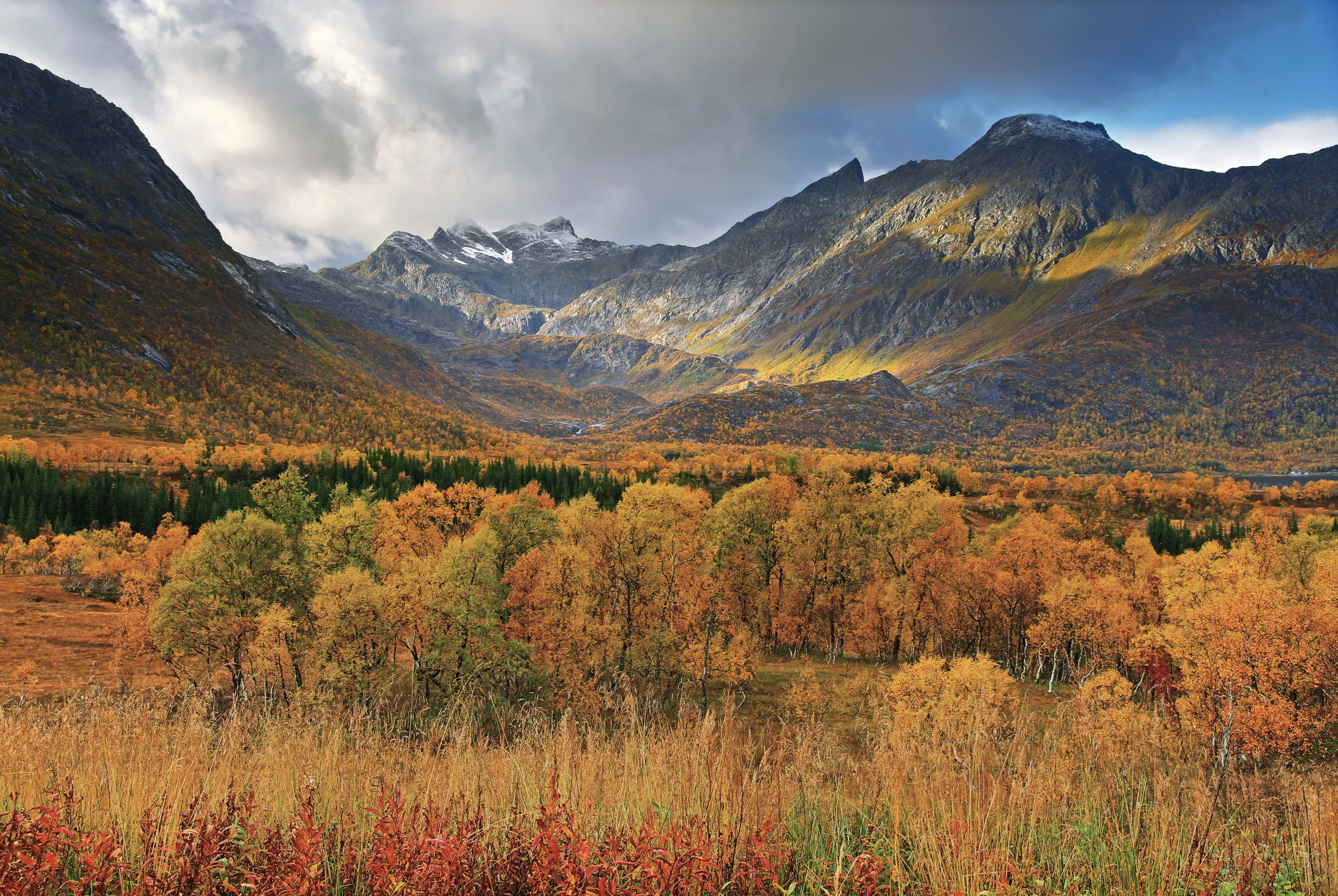 Autumn landscape near Gullesfjordbotn on Hinnøya island, Norway, with rolling hills and forest