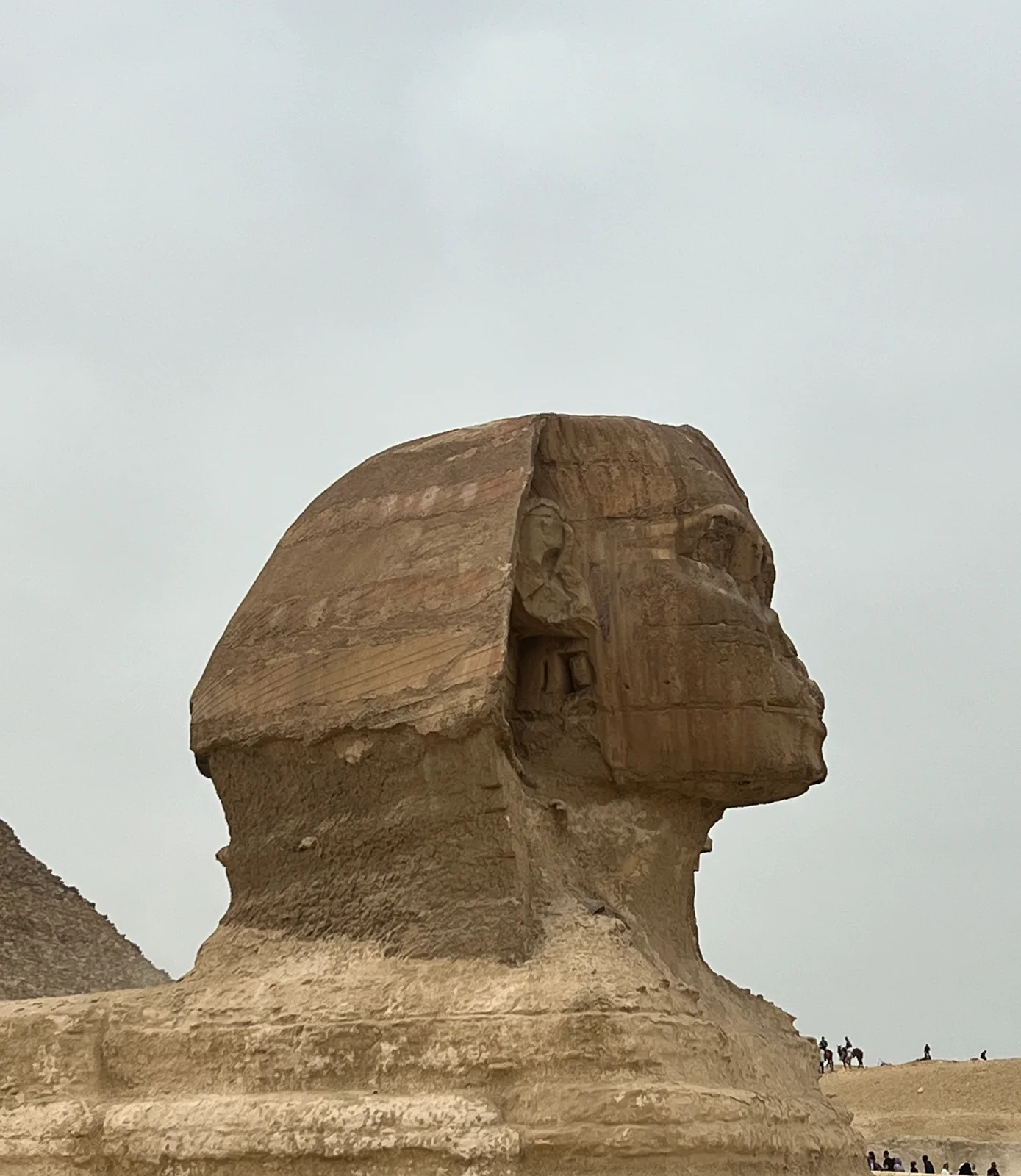 Close-up profile of the Great Sphinx's weathered limestone head and face beneath an overcast grey sky