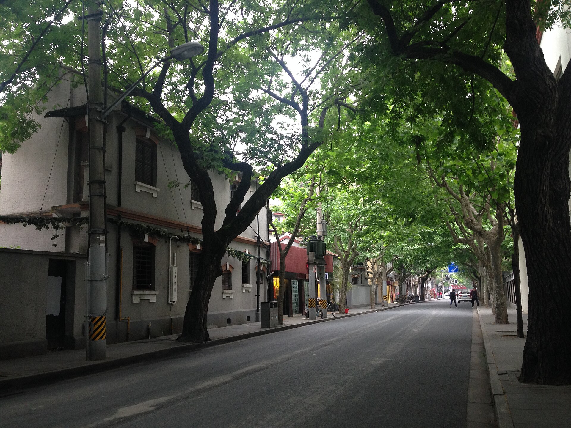 Tree-lined Wukang Road in Shanghai French Concession with historic architecture and plane trees