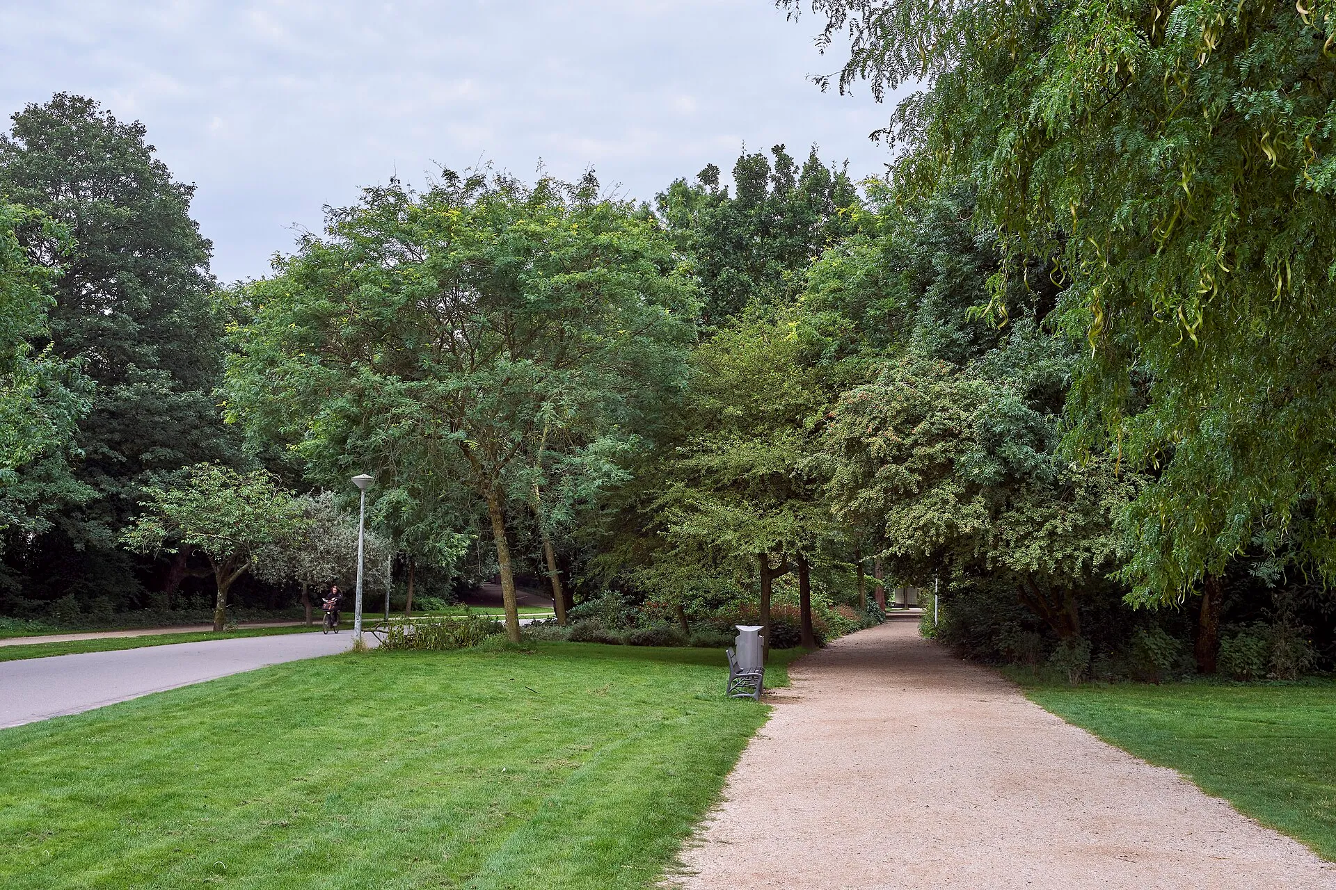 Vondelpark in Amsterdam with green lawns and trees around a pond