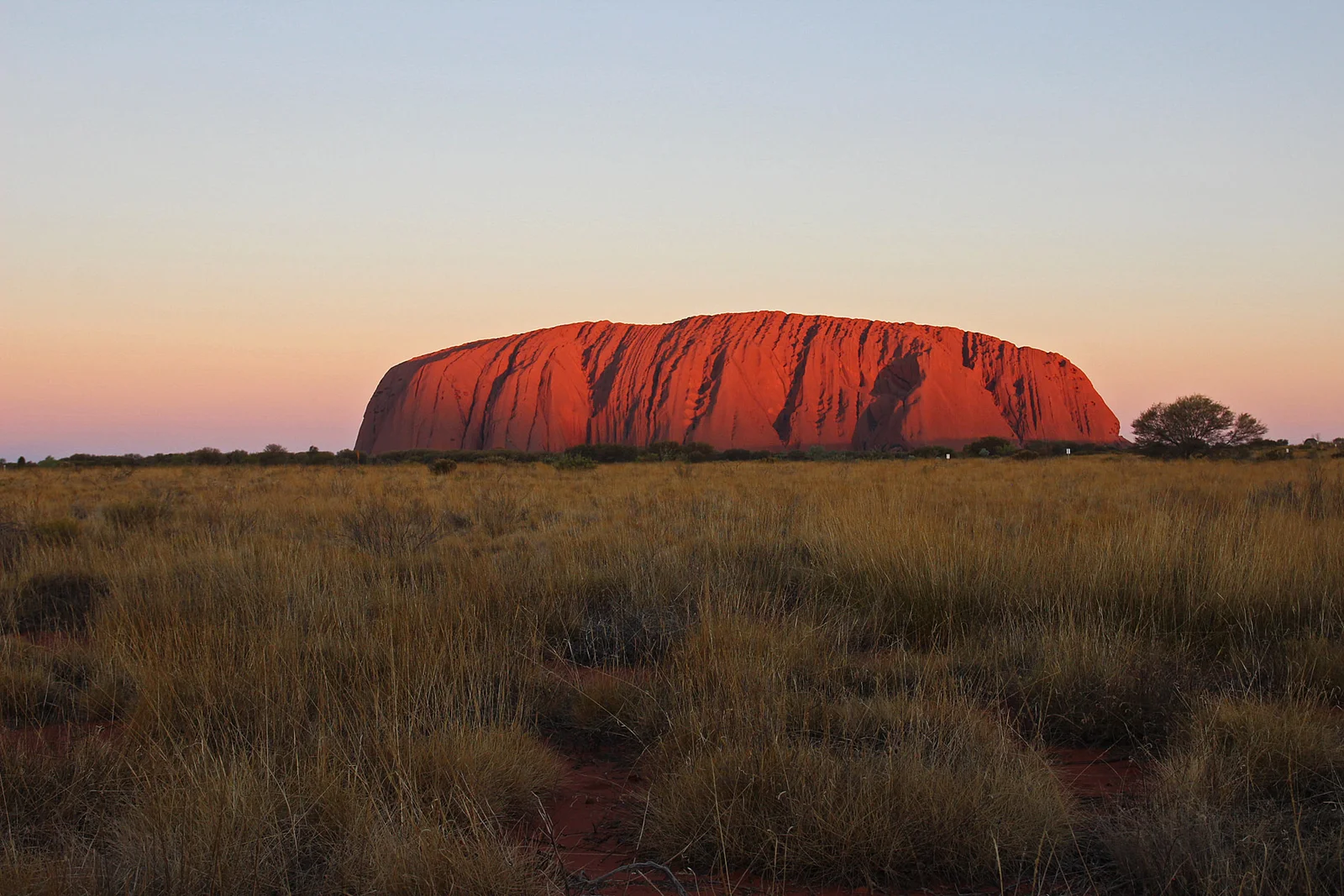 Uluru glowing red at sunset in the Northern Territory