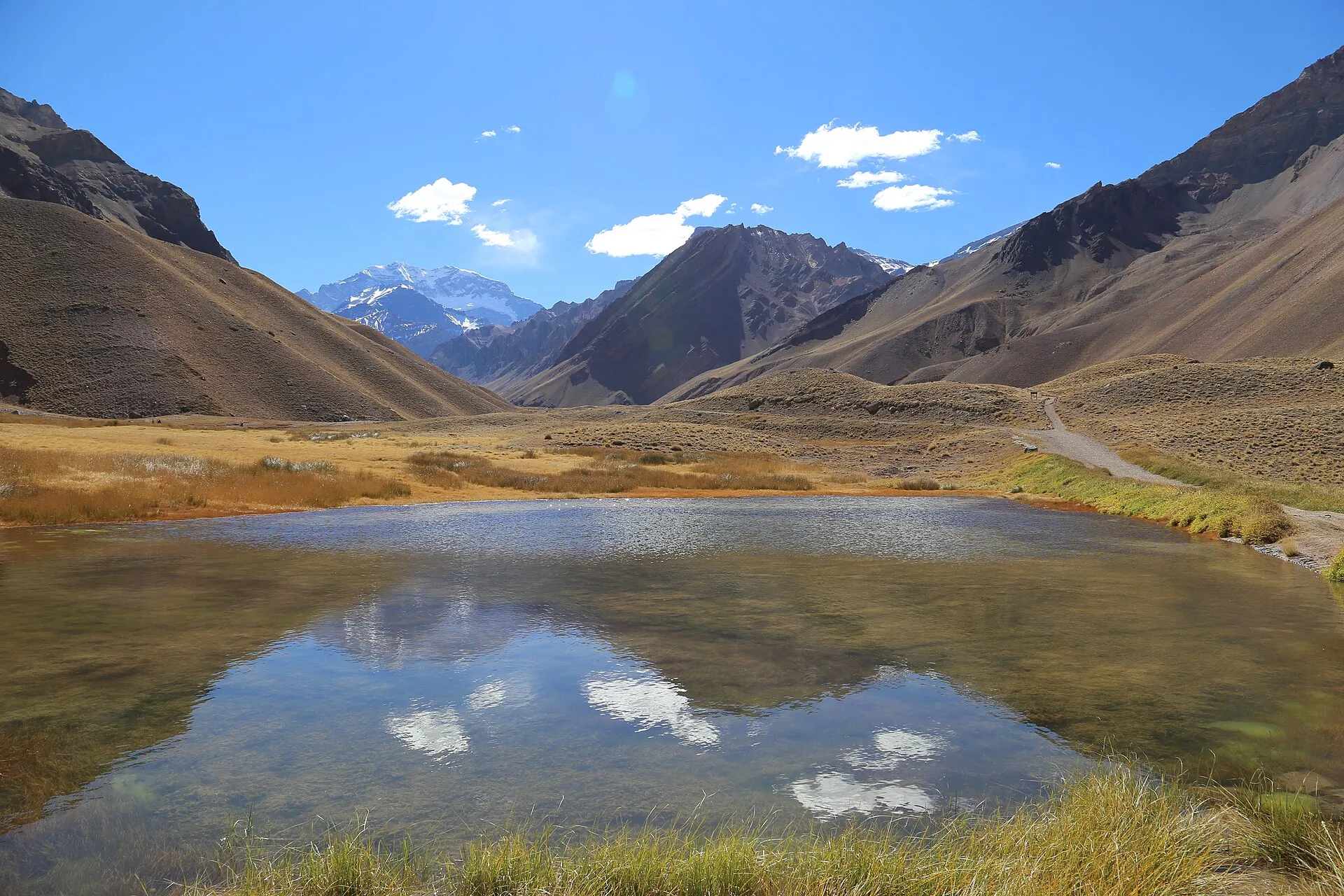 Aconcagua mirrored in the still waters of Horcones lagoon