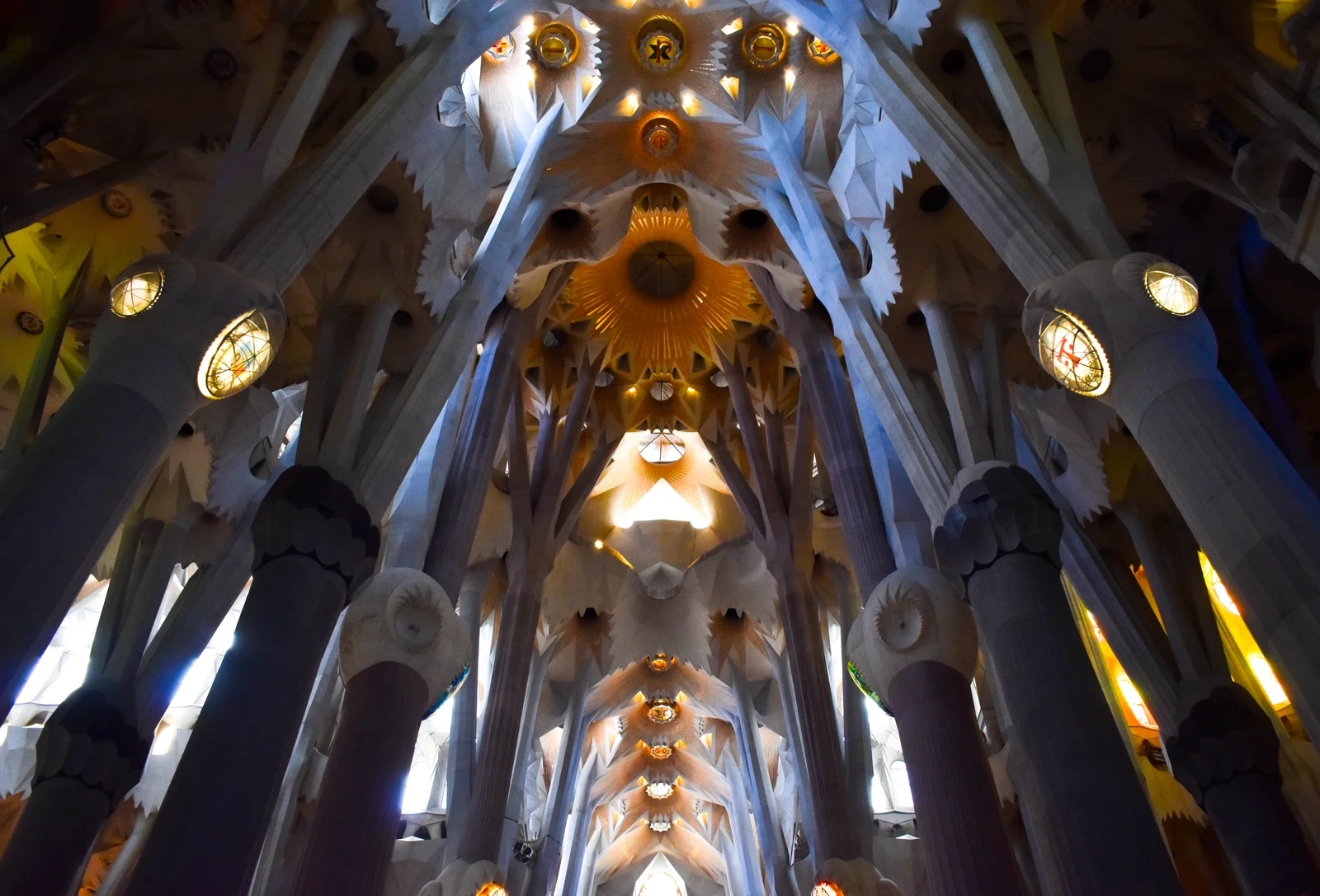 Tree-like stone columns branching toward the vaulted ceiling of the Sagrada Família nave